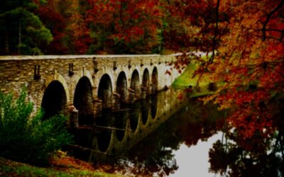 What Made Racial Violence Real to Me