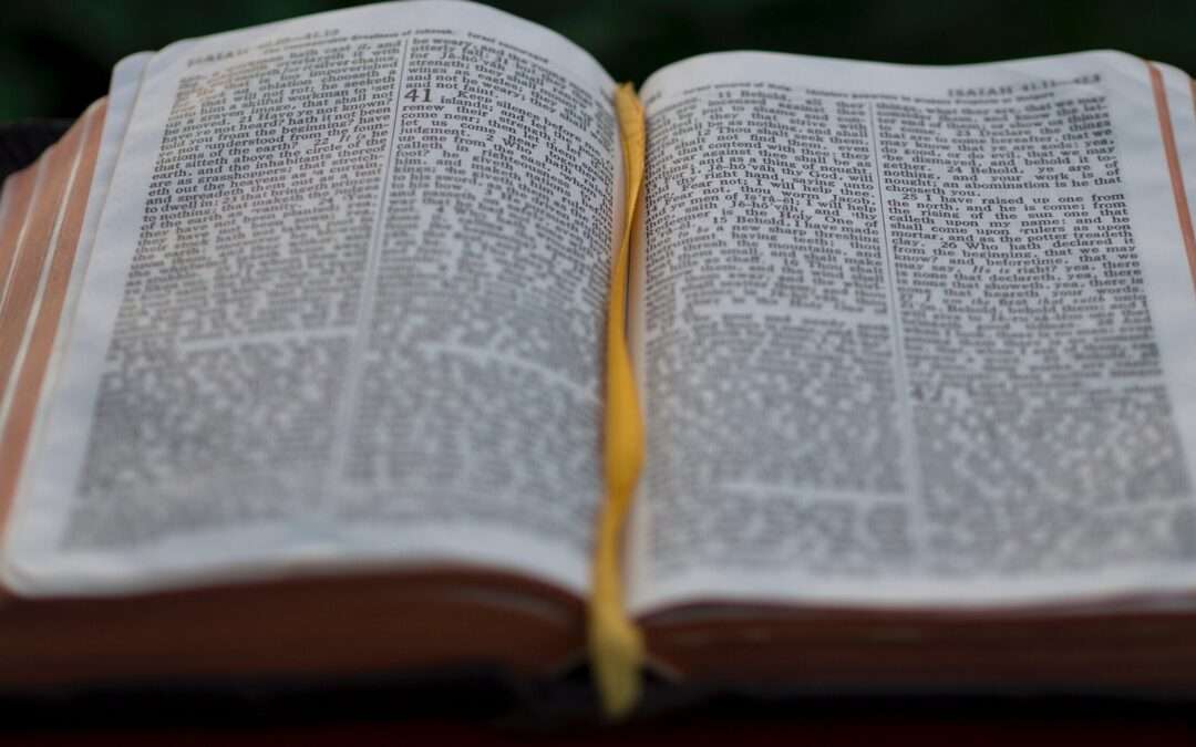 Bible Literacy as a Solution for Racism