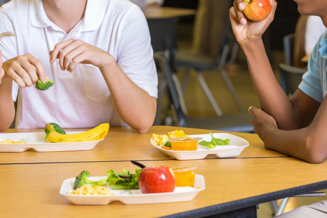 Sitting at the Wrong Lunch Table | Segregation then and now